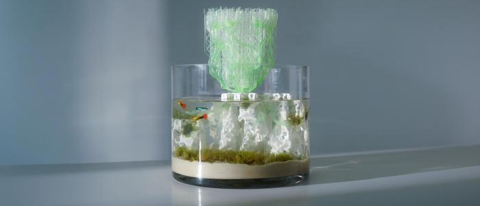 A color photo showing a small fish bowl.