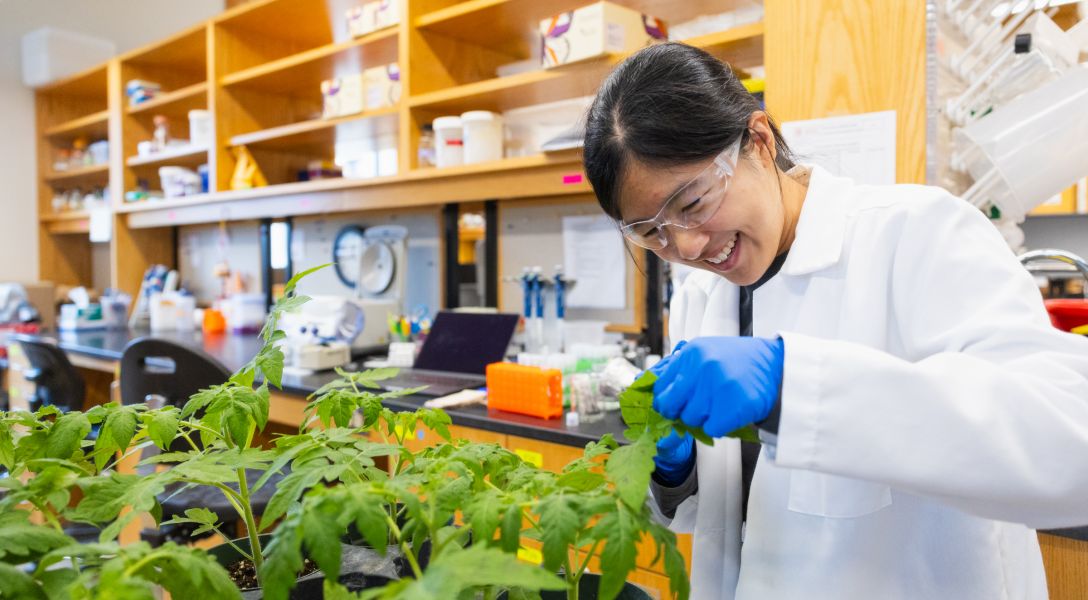 A color photo showing a woman working with plants in a lab