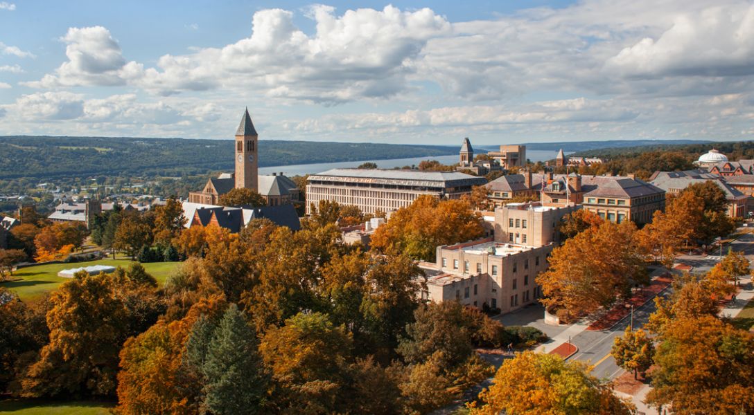Cornell Campus bird's-eye view