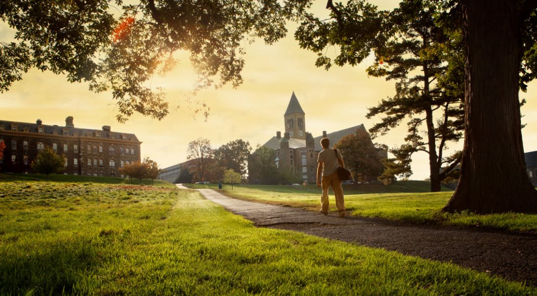 Sunny Arts Quad