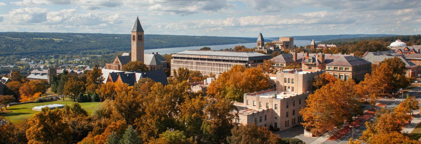 Cornell University Department of Statistics and Data Science