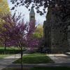McGraw Tower in the spring